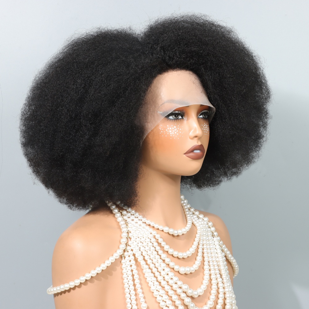 Glueless Wear And Go Human Hair Wig - 14 Inch Afro Wigs for Black