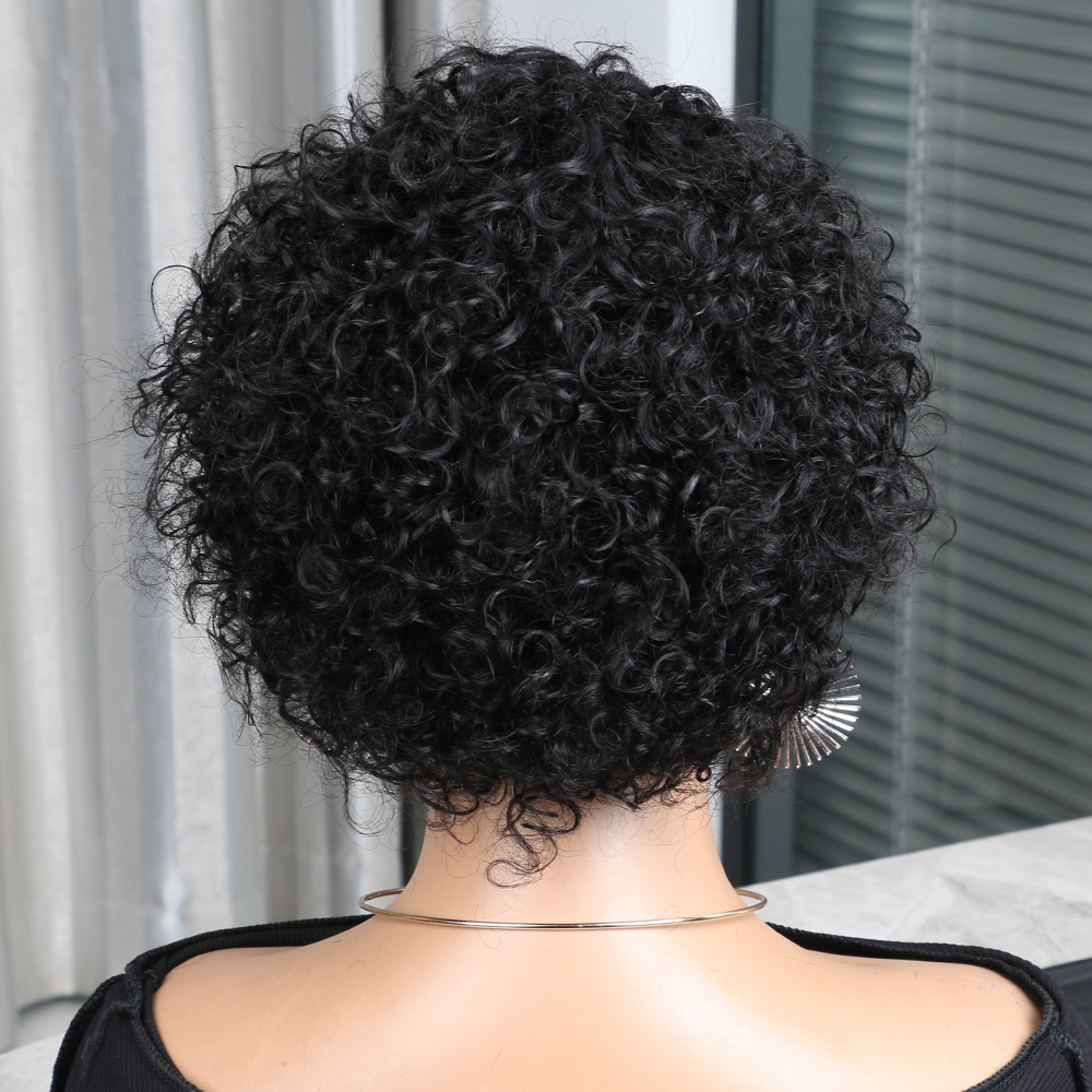 Pixie Cut Wig Human Hair 13x4  - Short Pixie Cut Wig Human Hair Cheap recension och pris